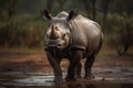 Large White Rhino Walks In Mud Royalty Free Stock Photo