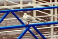 A large white river or sea gull sits on a blue metal fence against a background of water in the fog.Autumn, winter or spring scene Royalty Free Stock Photo