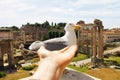 A large white seagull with a red stroke around the eye and a beak, on which the down and a palm stretched to the bird.