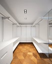 Large white walk-in closet with parquet