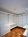 Large white walk-in closet with parquet