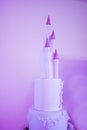 Large white wedding cake with castle shaped towers