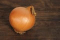 Large whole onion on a wooden table, concept of vegetables for health against colds, horizontal, closeup, copy space