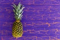 Large whole ripe juicy tropical pineapple