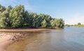 Large willow trees on the bank of a lake Royalty Free Stock Photo