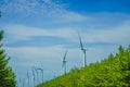 Large wind power station (renewable energy)