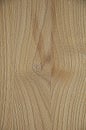 Large wood texture with a knot.