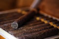 Large wooden box of cigars handmade Cuban Royalty Free Stock Photo