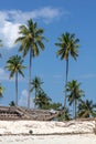 Palm tree lined white sand beach with large wooden boat