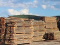 Large wooden planks stacked in racks for drying under the open sky in an industrial area. Timing of wood for carpentry. Manufactur Royalty Free Stock Photo