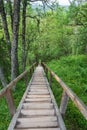 A large wooden staircase on the Sekirnaya mountain on Solovki.