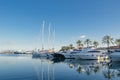 Large yacht harbor Royalty Free Stock Photo