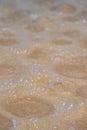 Large Yeast Bubbles in Bourbon Mash