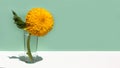 A large yellow decorative sunflower in a glass vase on a mint color background. Creative minimal still life. Royalty Free Stock Photo