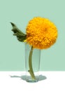 A large yellow decorative sunflower in a glass vase on a mint color background. Low angle view, below the eye line. Creative