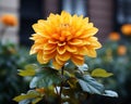 a large yellow flower in front of a building