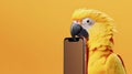 a large yellow macaw parrot with a mobile phone