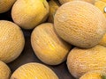 Large yellow melons on a rack in a modern supermark Royalty Free Stock Photo