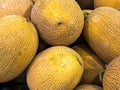 Large yellow melons Royalty Free Stock Photo