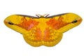 Large yellow moth Royalty Free Stock Photo