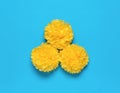 Large yellow paper pompoms on a light blue background. Flat lay