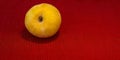 Large yellow plum on red cloth napkin on table closeup, closeup , selective focus Royalty Free Stock Photo