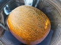Large yellow ripe melon floats in a metal bucket with water, close-up