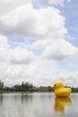 Large yellow rubber duck