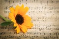 Large Yellow Sunflower with Black Center, Green Stem, and Green Leaf Resting on a Sheet of Classical Music