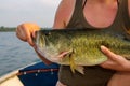 Large Mouth Bass Held By a Woman Royalty Free Stock Photo