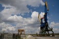 Larger cranes in the port. The work of cranes in the seaport. Odessa