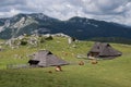 The largest Alpine settlement of shepherds in Europe. Slovenia