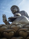 Largest Bronze Buddha in the world, with many buddhist art details