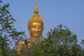 The largest Buddha statue in Thailand And the largest in the world