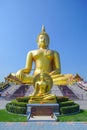 The largest Buddha in the world at Wat Muang