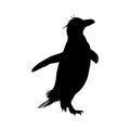 Walking Royal Penguin Silhouette. Good To Use For Element Print Book, Animal Book and Animal Content