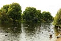 Ducks on the Serpentine Lake in Hyde Park, London Royalty Free Stock Photo