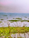 Natural wonder - Loktak lake in moirang ,Manipur, India
