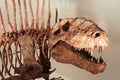 Largest prehistoric dinosaur with huge serrated teeth