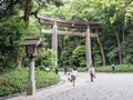 Largest Wooden Torii at Meiji Jingu Shrine, Tokyo, Japan