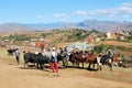 Largest cattle Zebu market in Madagascar