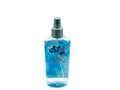 Hollister Body Mist in Recyclable Plastic Bottle. Royalty Free Stock Photo