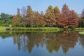 Idyllic landscape of Hong Kong Wetland Park