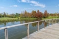 Tree larix laricina in Hong Kong Wetland Park Royalty Free Stock Photo