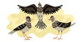 Larks migratory bird. Three birds fly against the background of the sky. Larks migratory bird. Vector illustration of Royalty Free Stock Photo