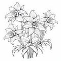 Larkspur Flower Collection: Gothic Black And White Drawings For Kids