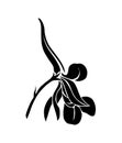 Larkspur flower black silhouette vector art icon.