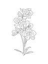 Larkspur July birth month flower line art drawing.