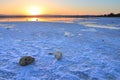 Larnaca salt lake Royalty Free Stock Photo