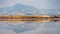 Larnaca salt lake with flamingos on background, Cyprus